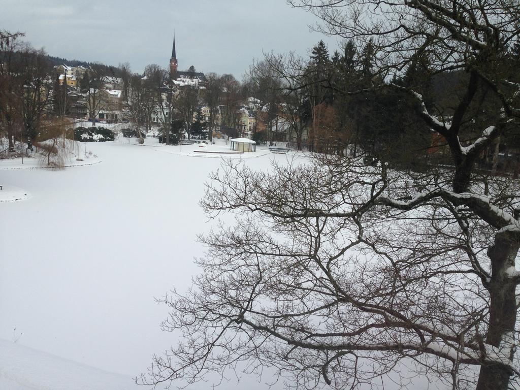 Appartement Am Gondelteich Bad Elster