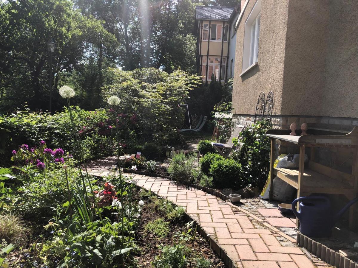 Appartement Am Gondelteich Bad Elster